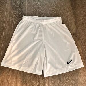 Nike Men's Dri-FIT shorts